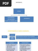 Download Porifera by abhishekajmani SN171610063 doc pdf