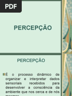 3290646-Percepcao-ppt