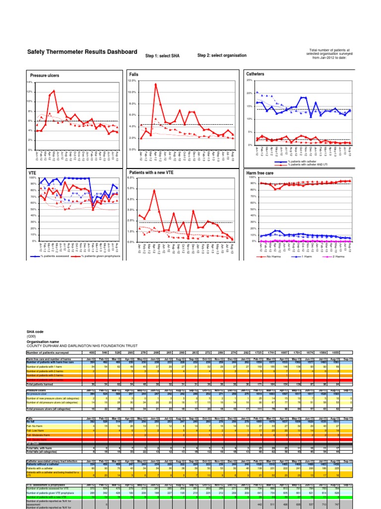 Safety Thermometer Results Overview | PDF | Health Care | Health Sciences