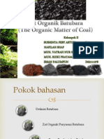 Organic Matter (Zat Organik) Batubara