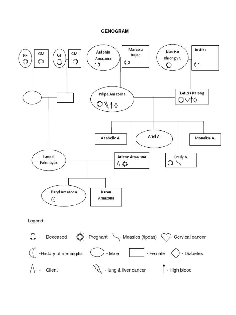 Family Case Study GENOGRAM Rtt Public Health