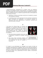 SNC II - Situações Clínicas