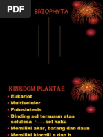 Download Lumut Dan Paku ppt by Mas Hakim SN171654562 doc pdf