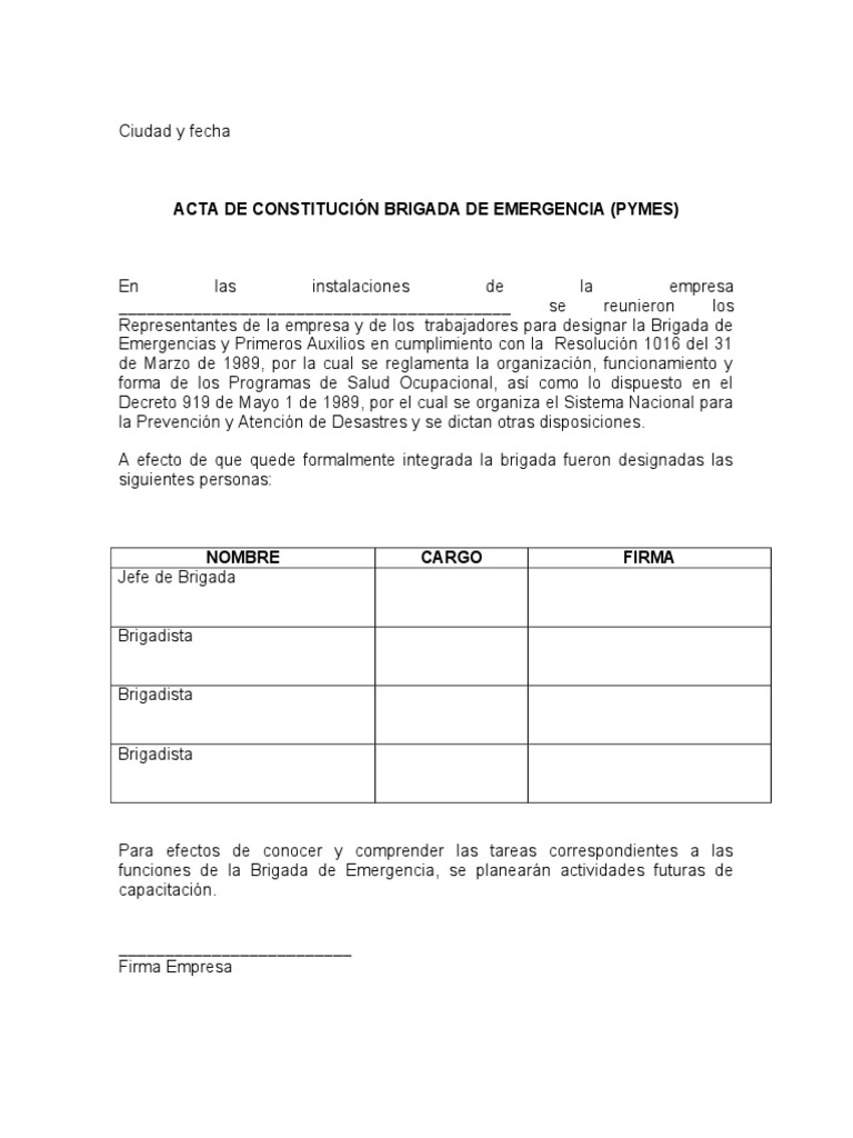 Acta Constitucion Brigadas
