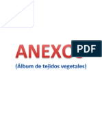 anexos tejidos vegetales.docx