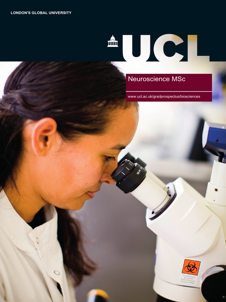 Neuroscience PDF PDF University College London Postgraduate Education