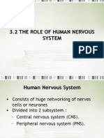 3.2 The Role of Human Nervous System