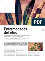 Enfermedades Del Olivo