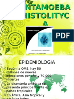 Entamoeba Histolityca