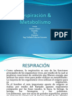 Respiración & Metabolismo