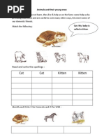ukg hindi worksheet 2013