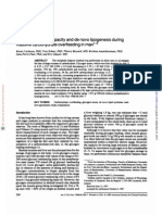 Glycogen Storage Capacity and de Novo Lipogenesis. ESTUDO .ARTIGO. QUANTO de CARBO. VIRA GORDURA. Am J Clin Nutr-1988-Acheson-240-7