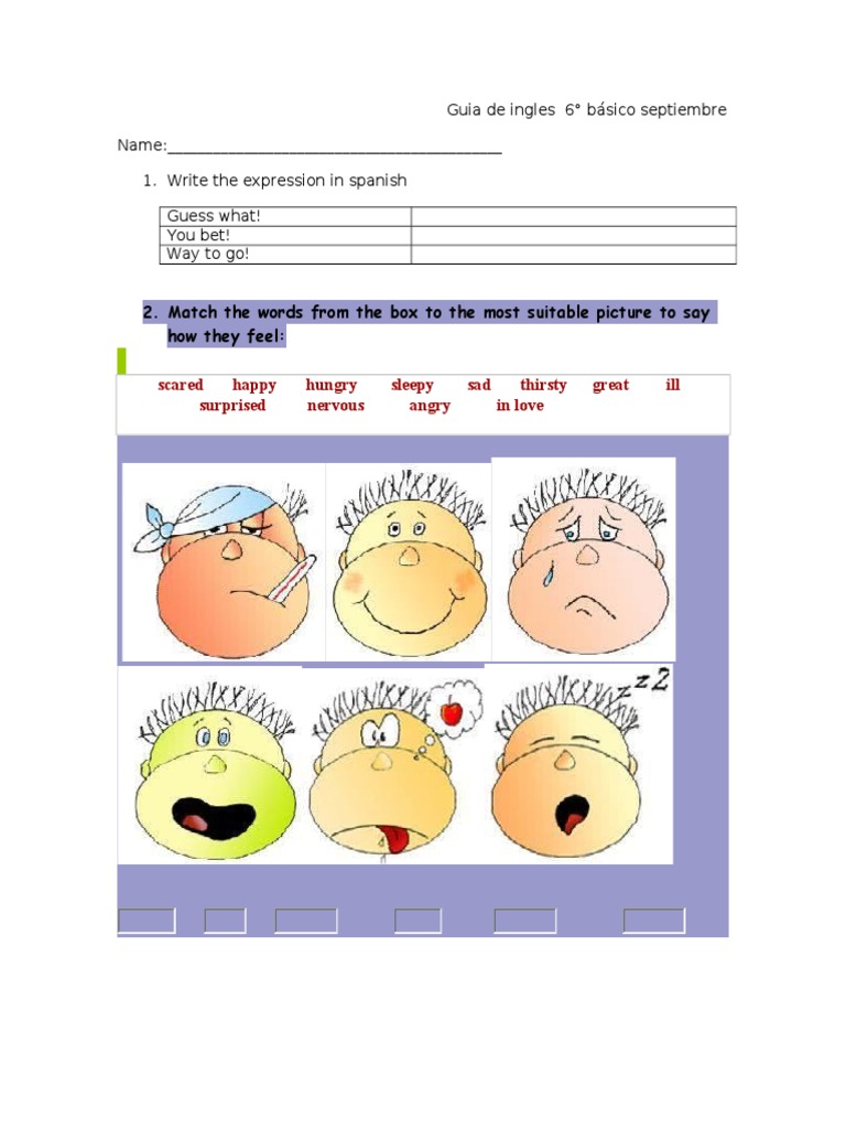 Guia de Ingles 6° Basico Septiembre 20131 | PDF