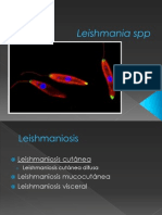 Leishmania Mexicana Mexicana