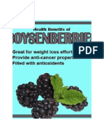 Health Benefits of BoysenBerries