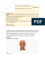 Divisiones topograficas del ser humano.docx