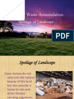 Impact of Waste Accumulation