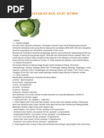 Download Prospek Agribisnis Tanaman Kubis Ada 2 Makalah Didlmnya by Faza Fauzan Syarif SN171847014 doc pdf