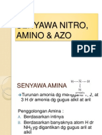 Senyawa Nitro, Amino