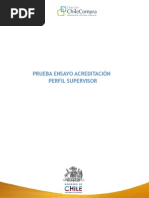 Prueba de Ensayo Perfil Supervisor
