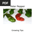 Download Peter Pepper Growing Tips by rogerxsmith SN17186134 doc pdf