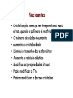 Slides Nucleantes 2010.pdf