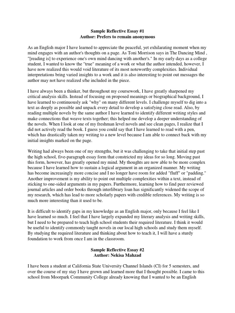 a beautiful mind reflection essay