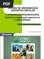 AULA 2 DIVERSIDADE ORGANIZACIONAL ESTRUTURA E ORGANIZAÇÃO DESPORTIVA EM OUTROS PAÍSES