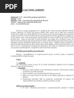 STUDIU+de+CAZ+Copil+Agresiv