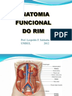 1. Anatomia Funcional Do Rim