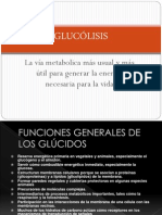 1 Glucolisis