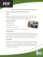 Template Work Experience IE EUA 2013