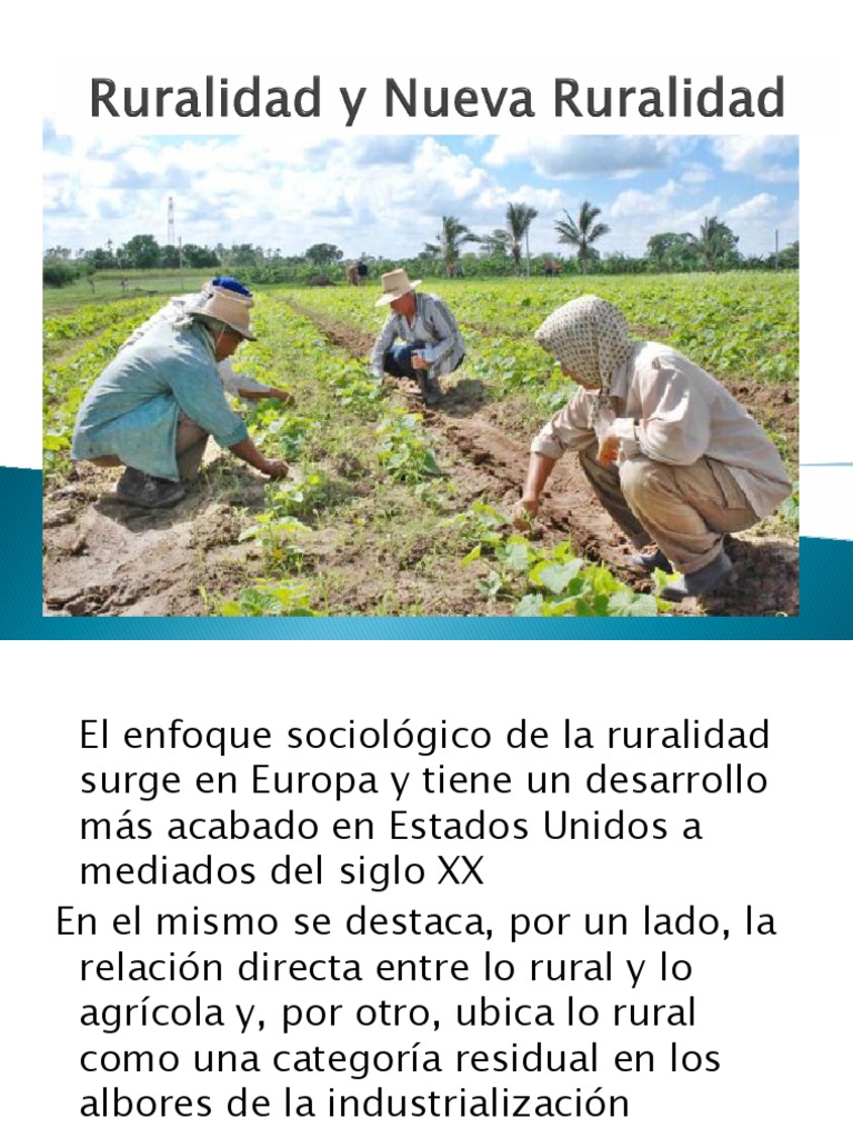Ruralidad y Nueva Ruralidad | PDF | Área rural | Agricultura