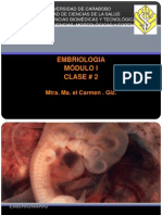 embriologa teti 3-090527100750-phpapp01