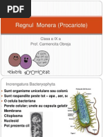 Regnul Monera (Procariote)