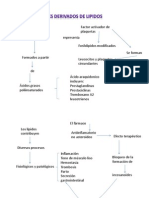 Eicosanoides: mecanismo y efectos