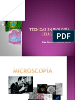 Tã Cnicas en Biologã A Celular, Microscopia, Coloraciones