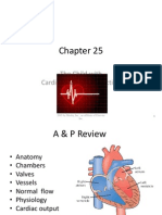 Chapter 25 Cardiac