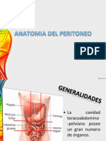Anatomiadelperitoneo 120226000834 Phpapp01