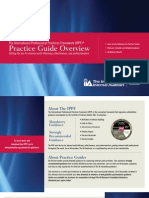 IPPF Practice Guide Overview
