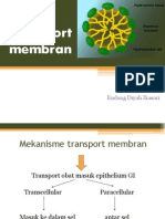 Transport membran.pptx