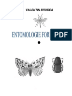 Entomologie 1