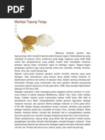 Download Manfaat Tepung Terigu by Oczhinvia Dwitasari SN172094655 doc pdf