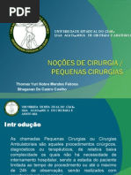 Aula sobre Pequenas Cirurgias - Liga Acadêmica De Cirurgia e Anatomia - Universidade Estadual do Ceará