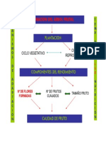 Induccion Floral