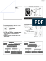 Embriologija 2010