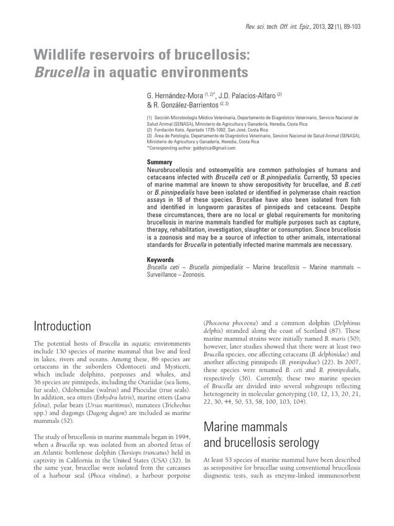 Brucella Sea Mammals | PDF | Marine Mammals | Cetaceans
