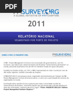 Relatório 2011 - Segmentado por Porte de Projeto