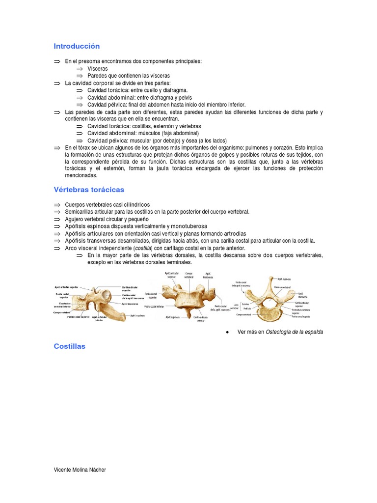 costillas.pdf