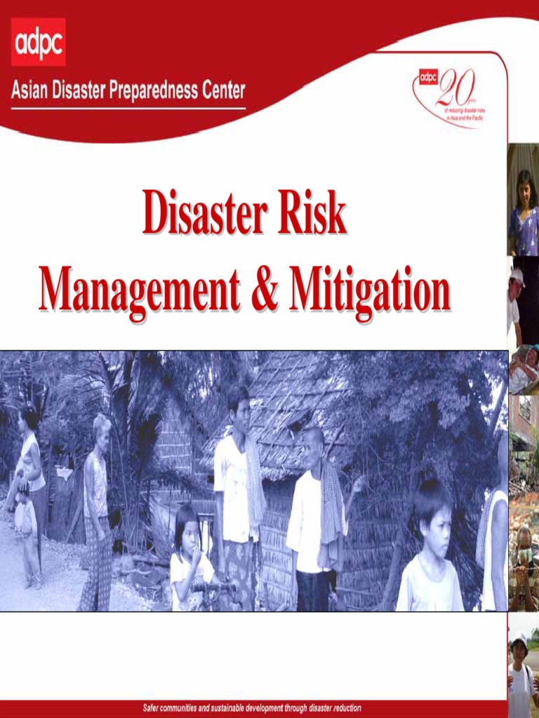 Disaster Risk Management | PDF
